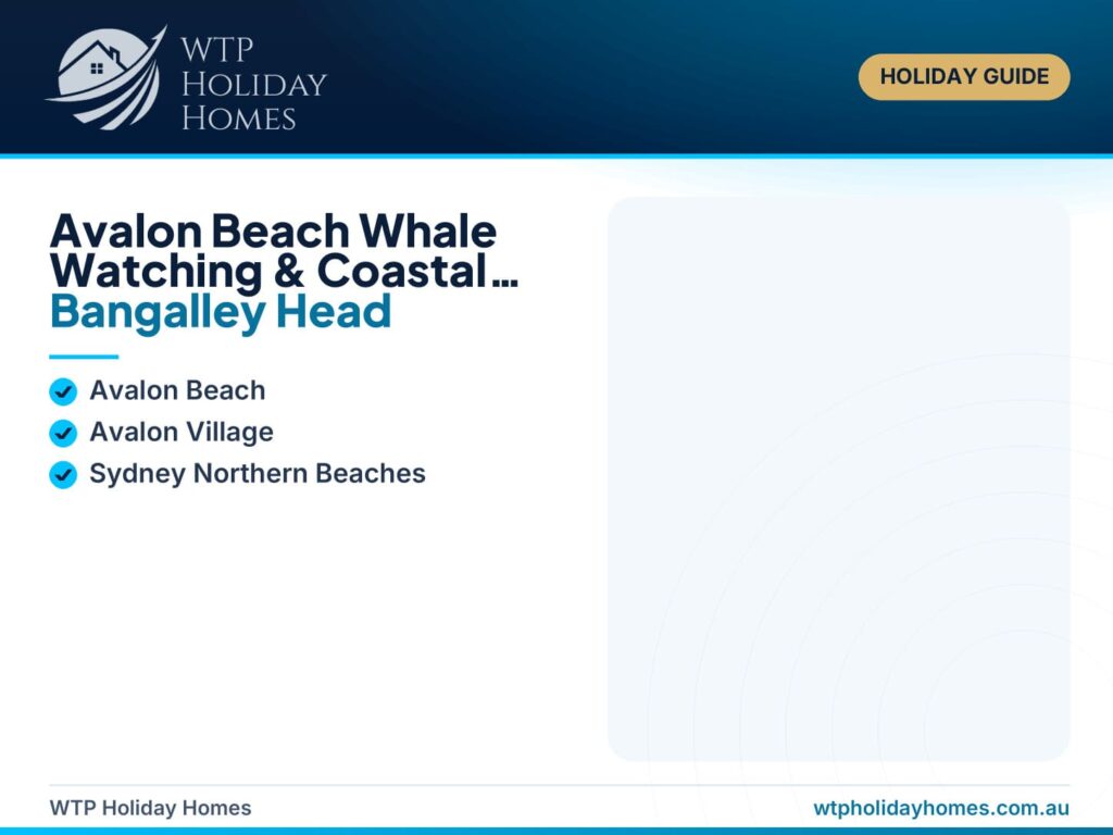 Featured image for an Avalon Beach whale watching and coastal walks guide, showing Northern Beaches headlands, ocean views, whale watching, Avalon Rockpool and a nearby beachside stay.