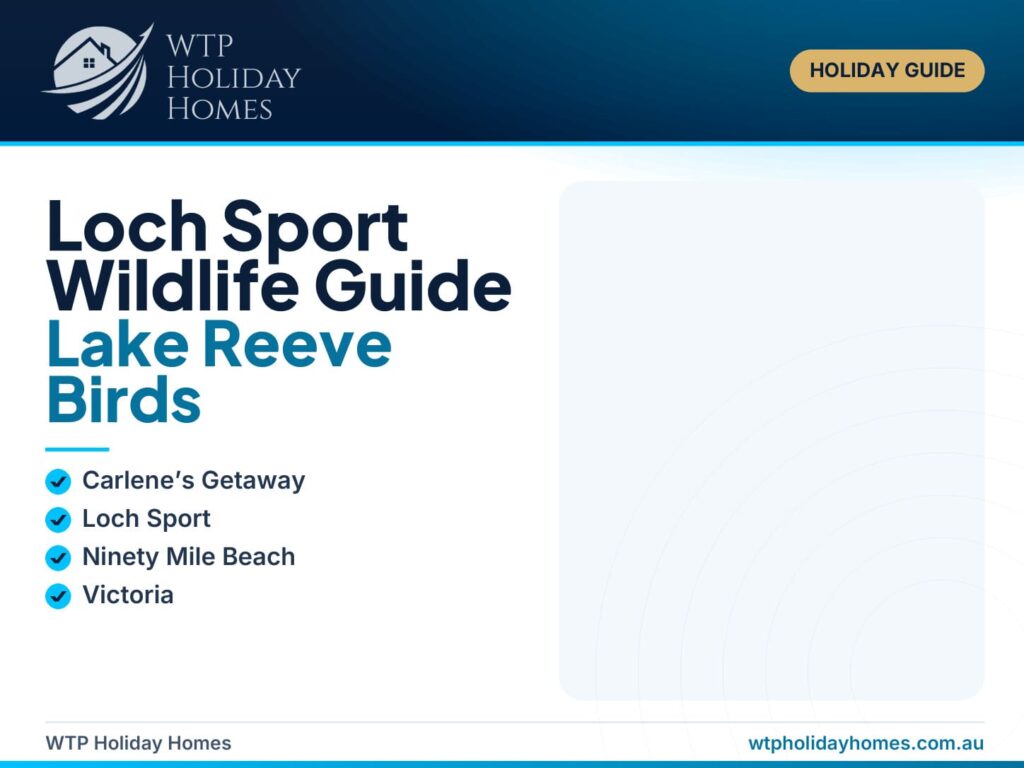 Loch Sport wildlife and birdwatching guide showing Lake Reeve wetlands, native birds, winter dolphins and a lake-view accommodation base.