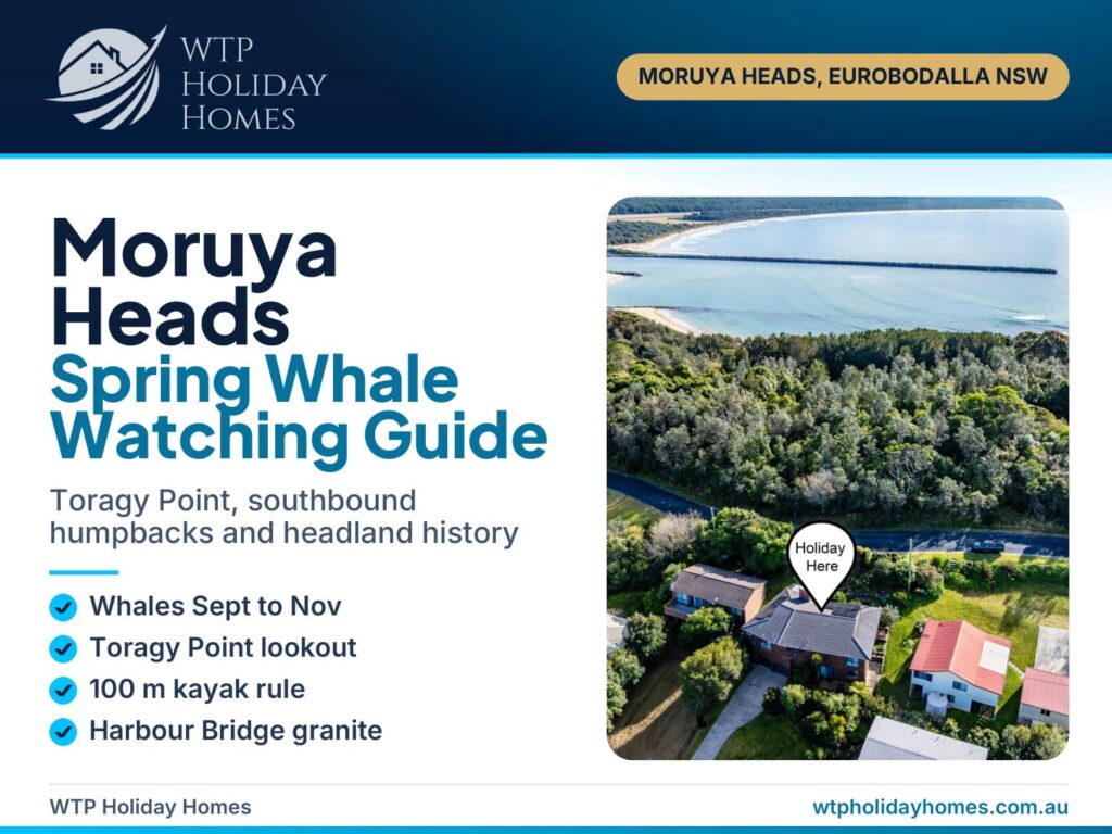 Moruya Heads whale watching cover: aerial of the coast at Moruya Heads with spring whale guide title and highlights